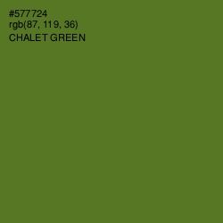 #577724 - Chalet Green Color Image