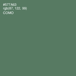 #577A63 - Como Color Image