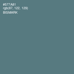 #577A81 - Bismark Color Image