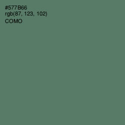 #577B66 - Como Color Image