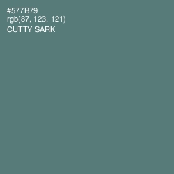 #577B79 - Cutty Sark Color Image