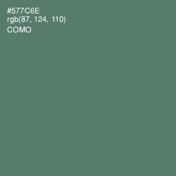 #577C6E - Como Color Image