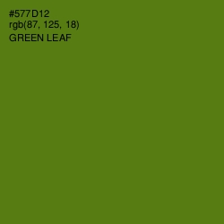 #577D12 - Green Leaf Color Image