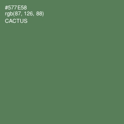 #577E58 - Cactus Color Image