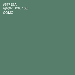 #577E6A - Como Color Image
