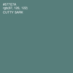 #577E7A - Cutty Sark Color Image
