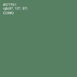 #577F61 - Como Color Image