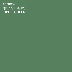 #57805F - Hippie Green Color Image