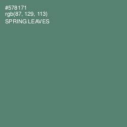 #578171 - Spring Leaves Color Image