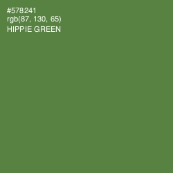 #578241 - Hippie Green Color Image