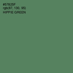 #57825F - Hippie Green Color Image