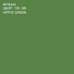 #578444 - Hippie Green Color Image