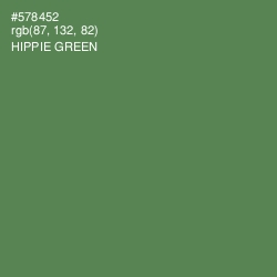 #578452 - Hippie Green Color Image