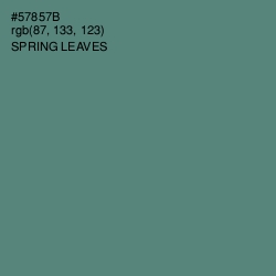 #57857B - Spring Leaves Color Image