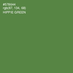 #578644 - Hippie Green Color Image