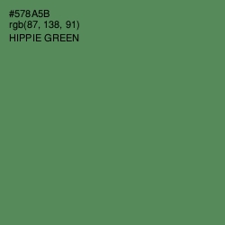 #578A5B - Hippie Green Color Image