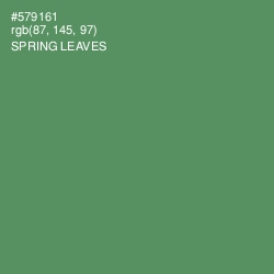 #579161 - Spring Leaves Color Image