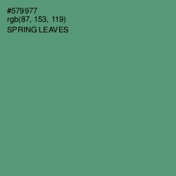 #579977 - Spring Leaves Color Image