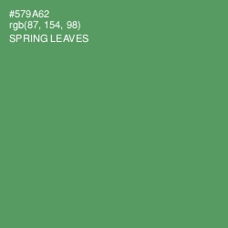 #579A62 - Spring Leaves Color Image