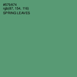 #579A74 - Spring Leaves Color Image