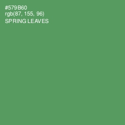 #579B60 - Spring Leaves Color Image