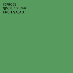 #579C5E - Fruit Salad Color Image