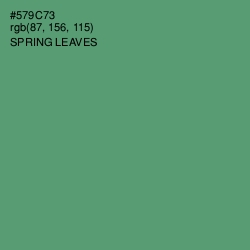 #579C73 - Spring Leaves Color Image