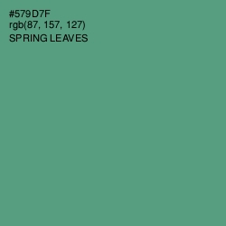 #579D7F - Spring Leaves Color Image