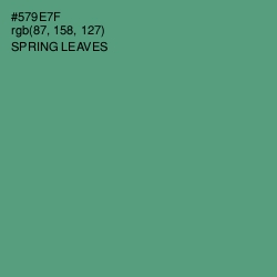 #579E7F - Spring Leaves Color Image