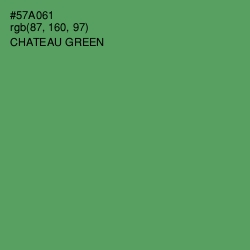 #57A061 - Chateau Green Color Image