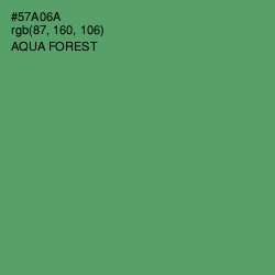 #57A06A - Aqua Forest Color Image