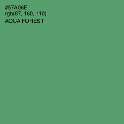 #57A06E - Aqua Forest Color Image