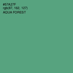 #57A27F - Aqua Forest Color Image