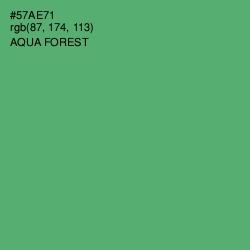 #57AE71 - Aqua Forest Color Image