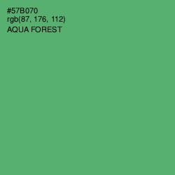 #57B070 - Aqua Forest Color Image