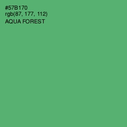 #57B170 - Aqua Forest Color Image