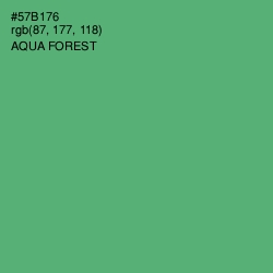 #57B176 - Aqua Forest Color Image