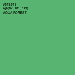 #57B571 - Aqua Forest Color Image