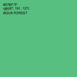 #57BF7F - Aqua Forest Color Image