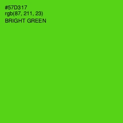 #57D317 - Bright Green Color Image