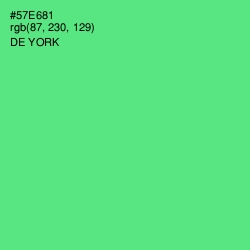 #57E681 - De York Color Image