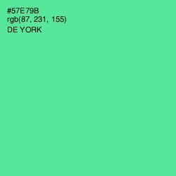 #57E79B - De York Color Image