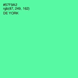 #57F9A2 - De York Color Image