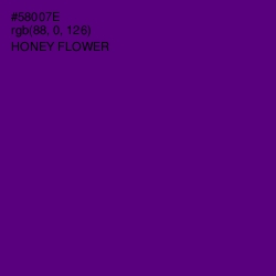 #58007E - Honey Flower Color Image