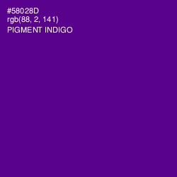 #58028D - Pigment Indigo Color Image