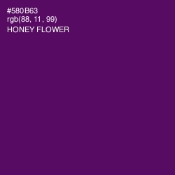 #580B63 - Honey Flower Color Image