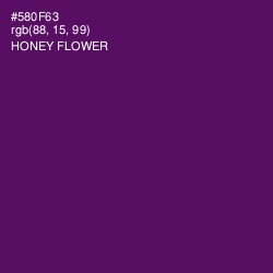 #580F63 - Honey Flower Color Image