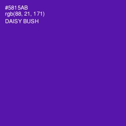 #5815AB - Daisy Bush Color Image