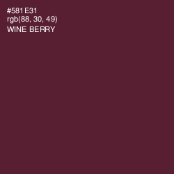 #581E31 - Wine Berry Color Image