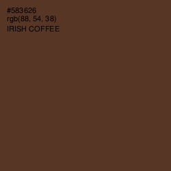 #583626 - Irish Coffee Color Image